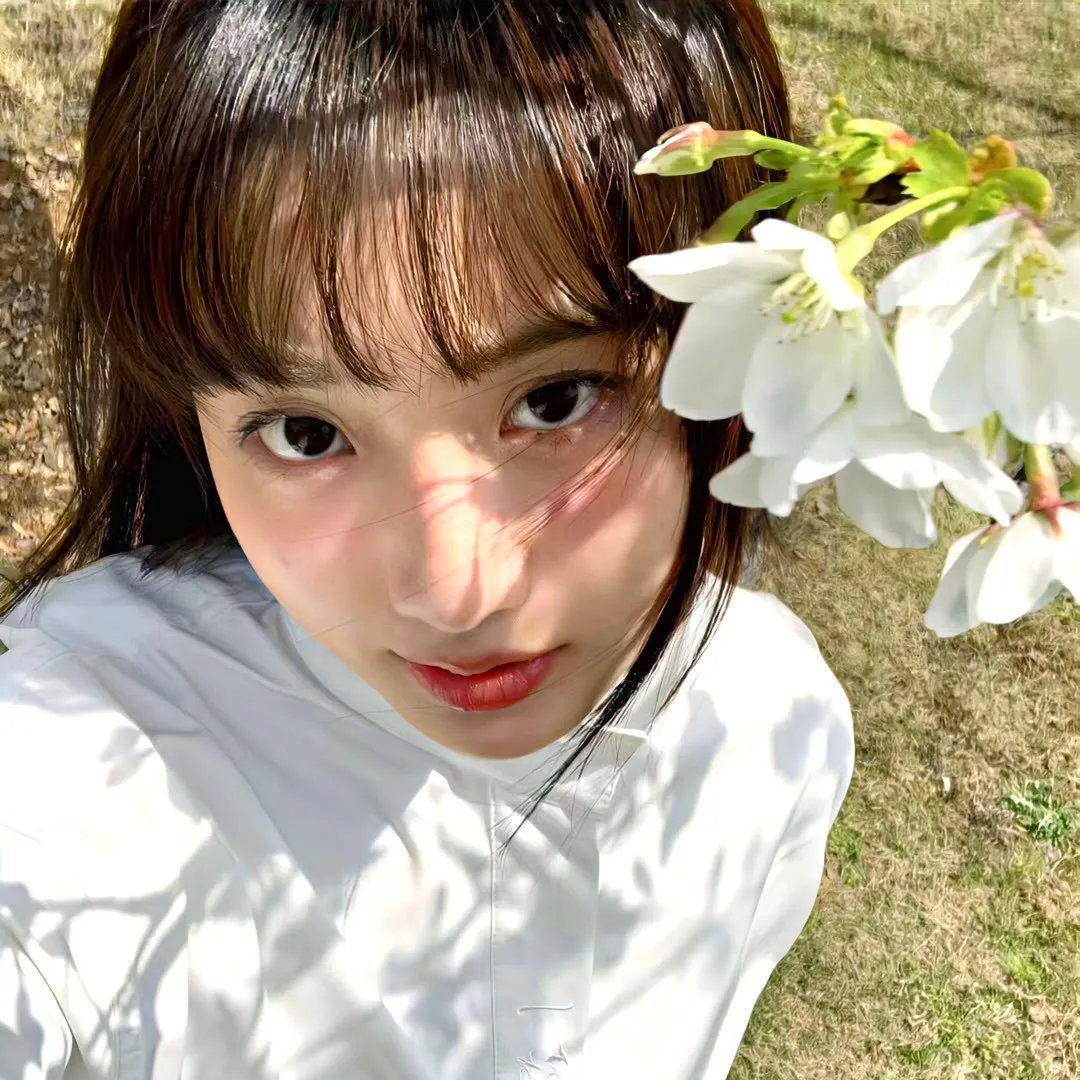 东北往事之江湖儿女